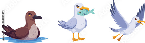 Bild auf Leinwand Sea bird cartoon characters set with flying albatross and seagull eating fish, f