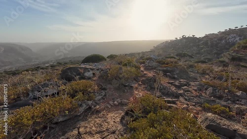 Rocky coastal landscape at golden hour. Socotra, Yemen.