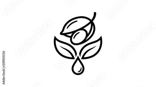 Minimalist black line art illustration of olive branch with leaf and drop