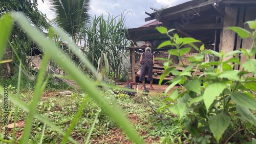 Elderly Woman Walking Through Traditional Rural Farmyard in Lush Countryside Village