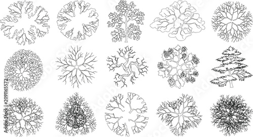 Canvastavla Hand Drawn Tree Canopy Top View Collection with Landscape Plan Outline Vector Se