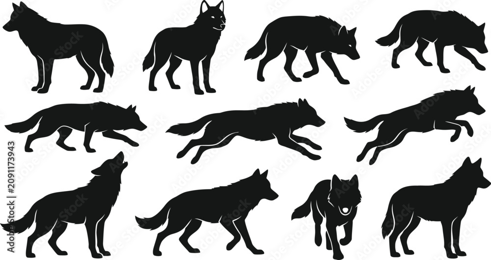 Obraz premium Wolf Silhouette Collection With Running Howling Walking And Standing Poses