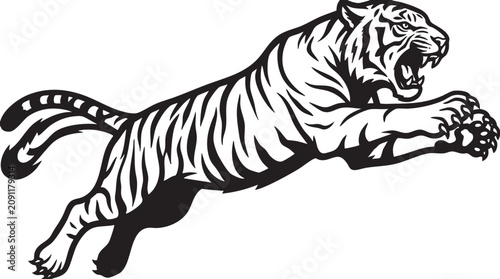 Slika na platnu Black and white tiger, running tiger, fierce animal, vector illustration