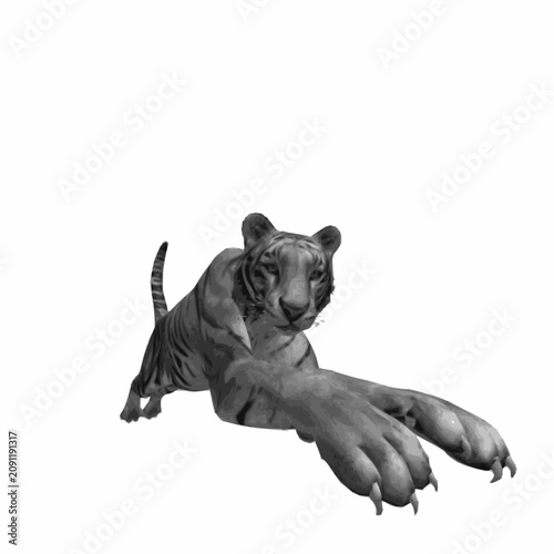 Schilderij op canvas Realistic tiger jumping toward viewer isolated on white background