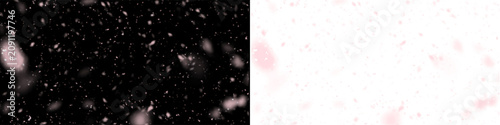 Schilderij op canvas Soft pink floating light particles overlay on transparent background romantic magical bokeh effect for elegant design
