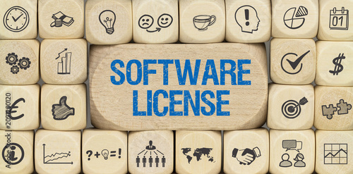 Cuadro en lienzo Software License