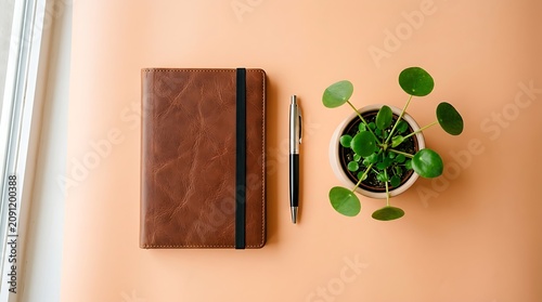 Top view, brown leather journal, pen, and potted plant on peach surface