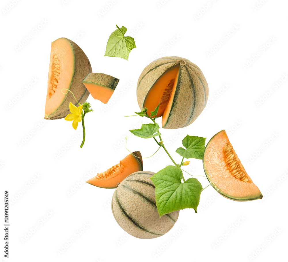 Naklejka premium Flying fresh raw ripe cantaloupe melon isolated on a white background. Floating summer fruit concept