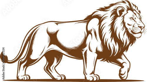 Photography Brown lion vector, majestic lion illustration, wild animal graphics, safari icon
