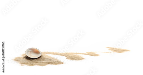 Photography Sea shells in sand pile isolated on white background, top view