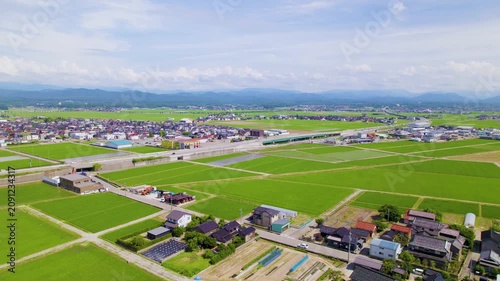 【ドローン空撮・緩やかな上昇】夏の青空と青々とした水田が広がる加賀平野の田園風景と街並み（石川県小松市北部） / Aerial Drone Shot Rising Slowly over Lush Green Rice Fields and Rural Townscape in Kaga Plain, Komatsu City, Ishikawa Prefecture, Japan in Summ