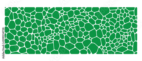 Tableau sur toile Modern abstract green organic cellular pattern, Reptile skin or crocodile squama