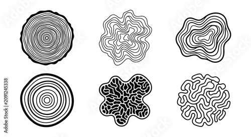 Fotografie Circular floral ornaments black vector illustration on a white background