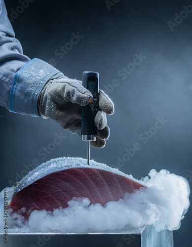 Food inspector hand in safety glove testing the core temperature of a frozen tuna fish fillet with probe