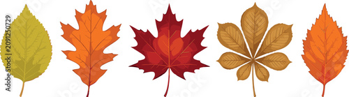 Tableau sur toile Autumn leaves vector element set featuring colorful fall foliage icons like red
