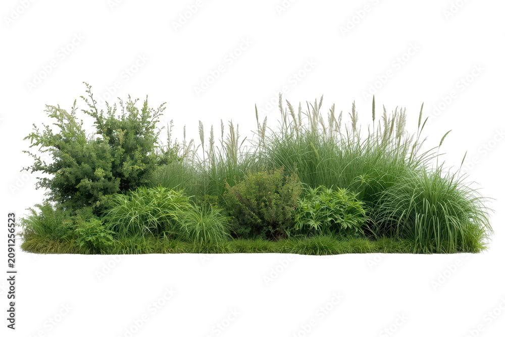 Fototapeta premium Garden bed with multiple types of green foliage, including bushes, tall grasses, and low-growing plants, creating a natural border