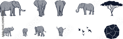 Photography PrintAfrican elephant vector collection featuring adult and baby elephants in va