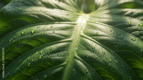 Eine Makroaufnahme eines frischen grünen Blattes zeigt filigrane Blattadern, feine Oberflächenstrukturen und glitzernde Wassertropfen.KI Generiert