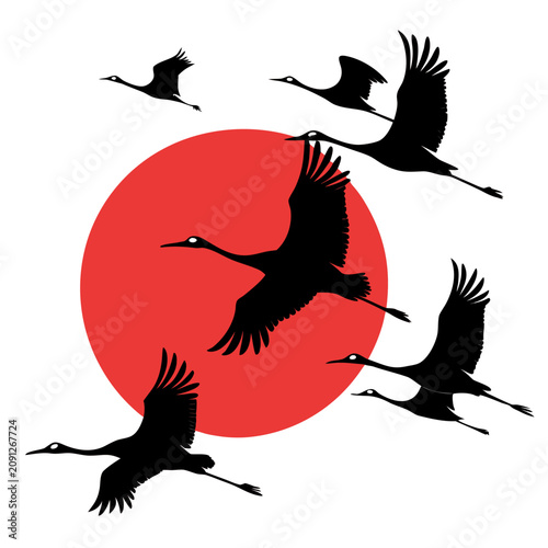 Fotografie Flying cranes silhouette over red sun background in traditional japanese style vector illustration