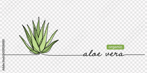 Aloe vera plant sketch, simple vector illustration, background, label design. One continuous line drawing art illustration with lettering organic aloe vera, One continuous line drawing art 