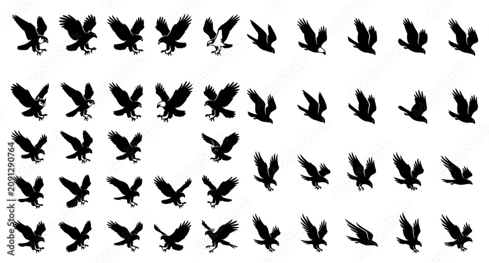Fototapeta premium Wild Birds of Prey and Flying Eagles Silhouette Set, Professional Wildlife Falcon Hawk Condor Vulture and Hunting Raptor Vector Illustration