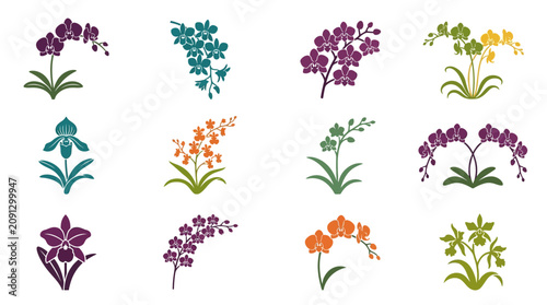 Fotografía Sleek Collection of Vibrant Orchid Flowers in Various Colors and Styles for Desi