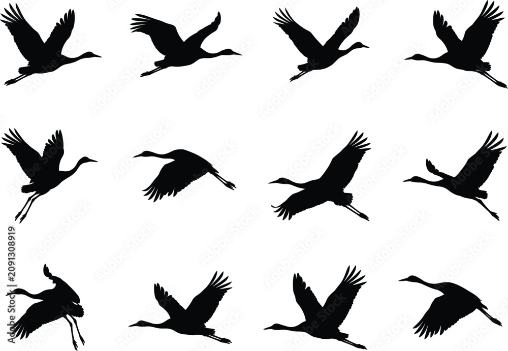 Fototapeta premium Flying Crane Bird Silhouette Collection with Graceful Flight Poses for Wildlife Vector Design