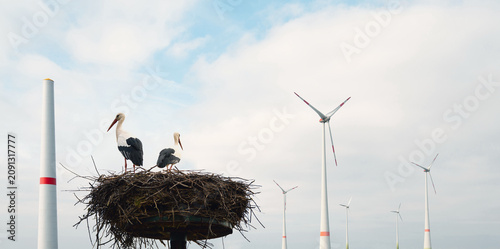 Foto Storks nest and wind turbine park, environment issue and wildlife protection, tr