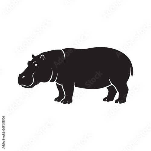 Foto Black hippopotamus standing isolated on white background, Vector, illustration