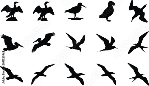 Konstfotografi Seabird Silhouette Collection with Flying and Standing Coastal Bird Vector Icon