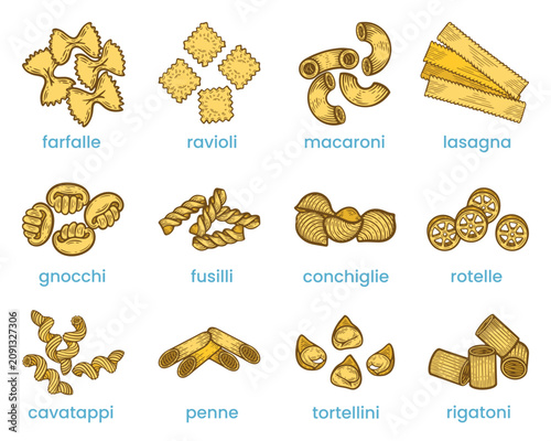 Types of pasta set, lasagna, macaroni, penne, farfalle, fusilli, gnocchi, ravioli, Italian cuisine, traditional noodle, colourful, hand-drawn vector illustration, line art contour, isolated