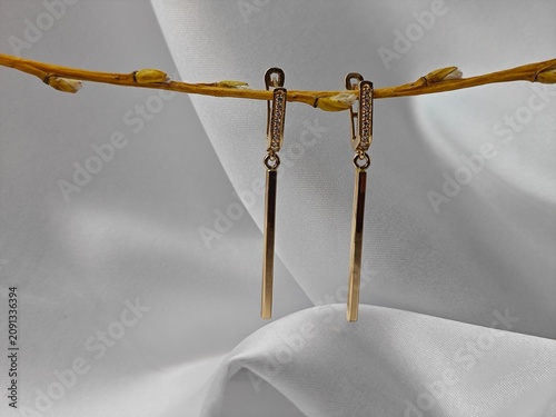 Obraz na plátně Gold dangle earrings hanging from a horizontal twig