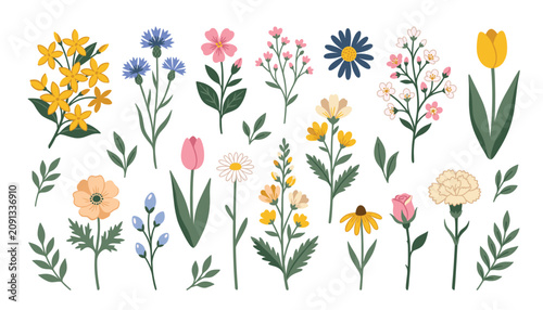 Canvastavla Botanical wildflower and garden blossom vector collection