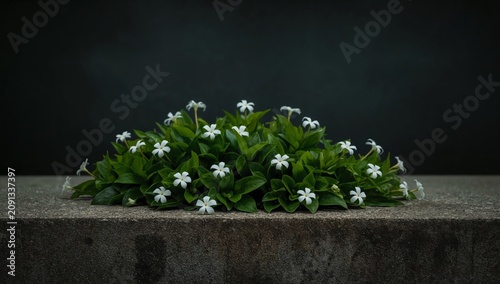 Flowers Arranged Neatly on a Stone Surface in a Dark Setting