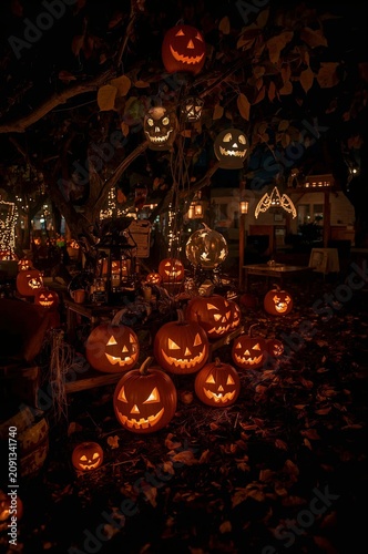 String Lights Hang From Tree Branches at Night in a Garden Setting for Gather...