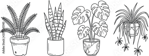 Foto Potted houseplants collection black and white line art drawings with houseplants
