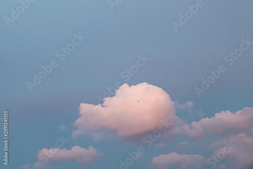 Pink illuminated cumulus cloud with bird silhouette in sky