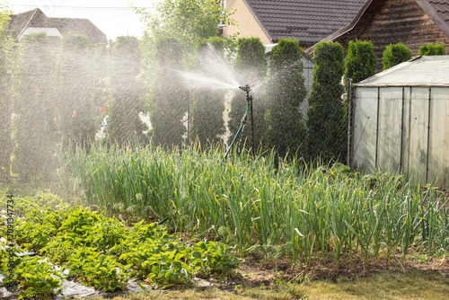 Construction for watering the soil and green spaces. Onions and strawberries grow in an individual garden. The territory is watered to improve plant growth.