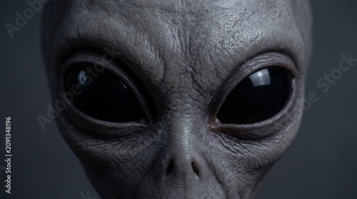 Close-up of an alien's face, emphasizing its large, dark eyes and textured gray skin, evoking a sense of mystery and the unknown.