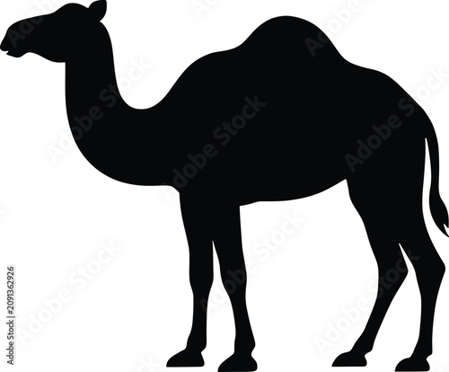 фотографія Black silhouette vector graphic illustration featuring a single humped camel sta