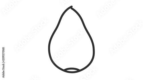 Elegant papaya vector icon with elongated black outline on white, minimalist tropical fruit illustration for fresh produce packaging, wellness menus, recipe cards, and market branding