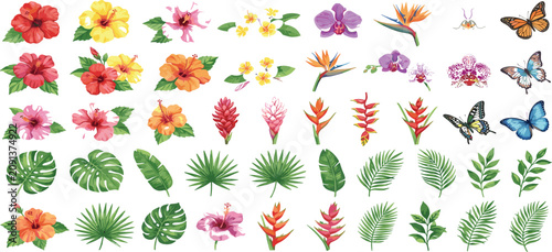 Konstfotografi Watercolor tropical flowers and leaves set with exotic hibiscus orchid palm butt