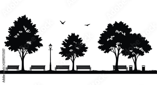 Photography Park scene with trees benches and birds in a black silhouette trees benches land