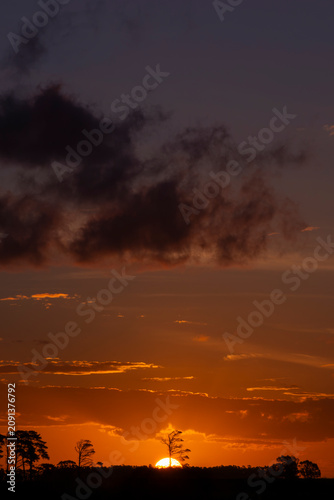 Photography Fiery Sunset with Lone Tree Silhouette