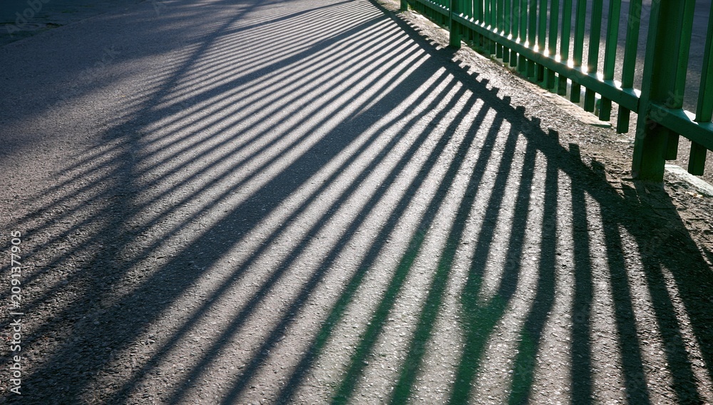 Obraz premium Green fence casting long shadows on road in sunny outdoors