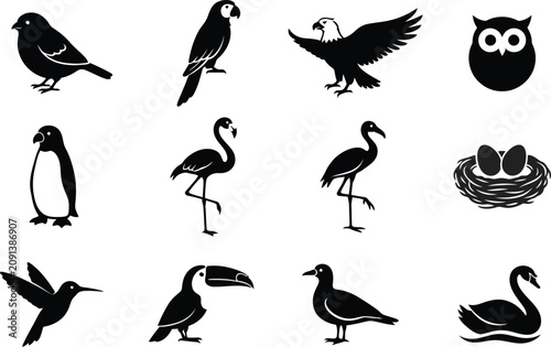 Canvas Print Collection of black bird silhouettes featuring various avian species in a minima