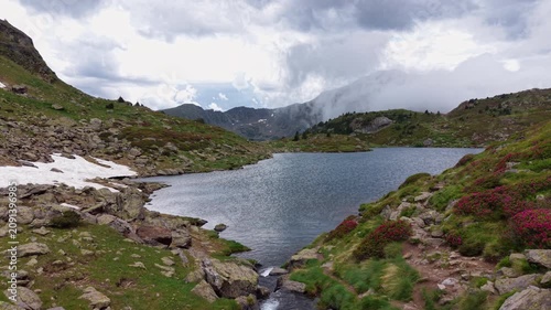 Aerial view of a glacial alpine lake with outlet stream bordered by flowering pink rhododendron shrubs, storm clouds building over rocky Pyrenean mountain peaks, Andorra