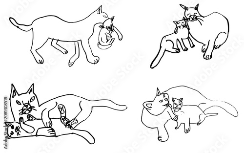 Photography Set of cats with kittens, children's drawing