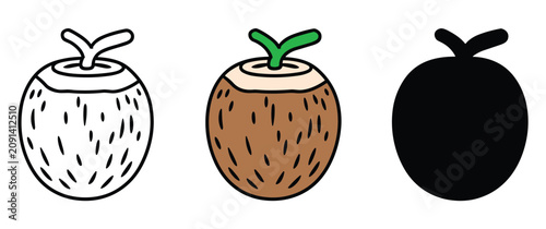 Photos Coconut Variety: A set of three distinct coconut representations