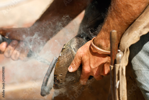 Quadro su tela Professional farrier hot fitting a horseshoe to a horse hoof during routine hoof care